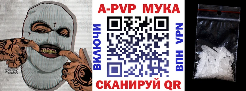 Как найти закладки Суздаль мега ТОР Кокаин ГАШ Меф мяу мяу Бошки Шишки