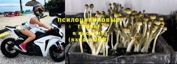 наркотики Абаза
