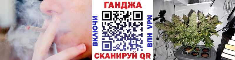 MEGA как зайти  Суздаль  Марихуана семена 